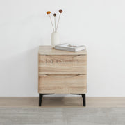 Indria Modern 2-Drawer Storage Cabinet