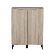 Zarelia Modern Shoe Storage Cabinet
