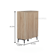 Zarelia Modern Shoe Storage Cabinet