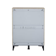 Zarelia Modern Shoe Storage Cabinet