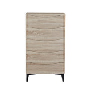 Eiryn Multi-Functional 5-Drawer Cabinet